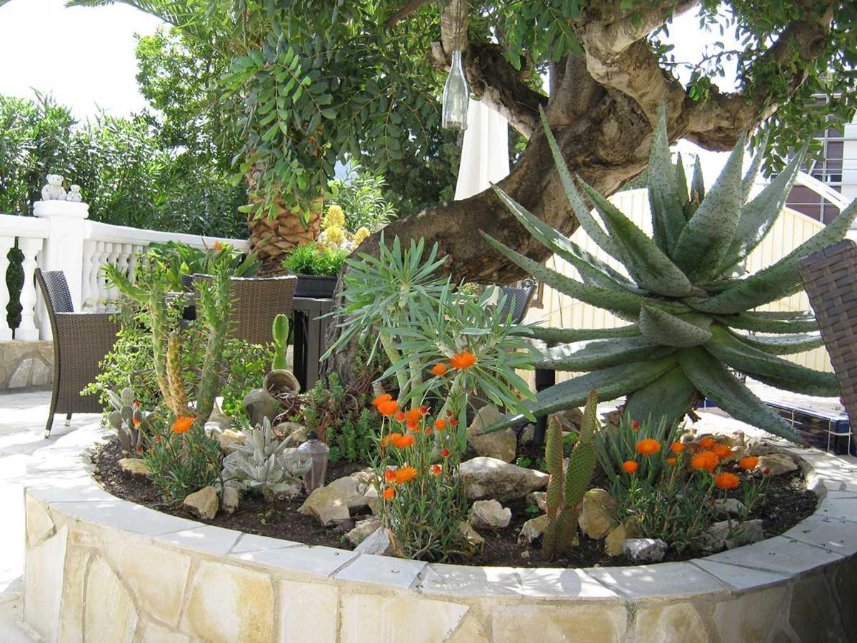 Residence Bougainville La Nucía Eksteriør billede